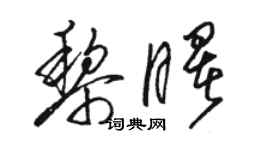 骆恒光黎曙草书个性签名怎么写