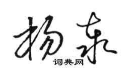 骆恒光杨泰草书个性签名怎么写