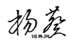 骆恒光杨葵草书个性签名怎么写