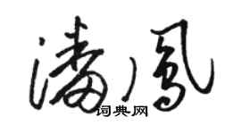 骆恒光潘凤草书个性签名怎么写