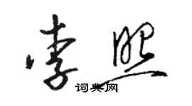 骆恒光李照草书个性签名怎么写