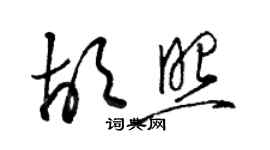 骆恒光胡照草书个性签名怎么写