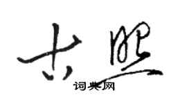 骆恒光古照草书个性签名怎么写