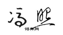 骆恒光冯照草书个性签名怎么写