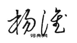 骆恒光杨淮草书个性签名怎么写