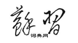 骆恒光苏习草书个性签名怎么写