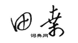 骆恒光田桑草书个性签名怎么写