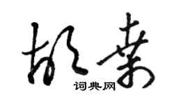骆恒光胡桑草书个性签名怎么写