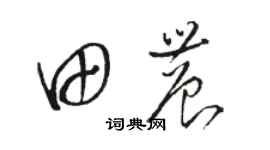 骆恒光田农草书个性签名怎么写
