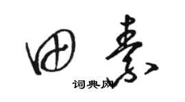 骆恒光田素草书个性签名怎么写