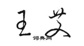 骆恒光王艾草书个性签名怎么写