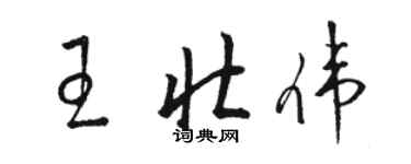 骆恒光王壮伟草书个性签名怎么写