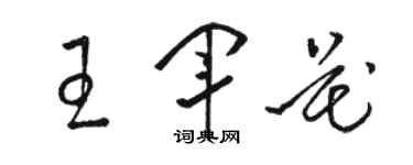 骆恒光王军花草书个性签名怎么写