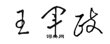 骆恒光王军政草书个性签名怎么写