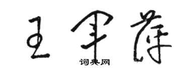 骆恒光王军萍草书个性签名怎么写