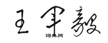 骆恒光王军毅草书个性签名怎么写