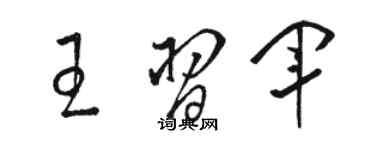 骆恒光王习军草书个性签名怎么写