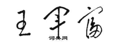 骆恒光王军富草书个性签名怎么写
