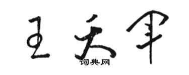 骆恒光王夭军草书个性签名怎么写