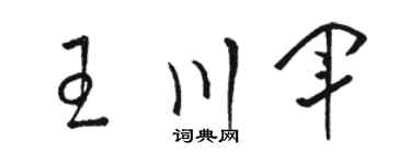 骆恒光王川军草书个性签名怎么写
