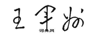 骆恒光王军州草书个性签名怎么写