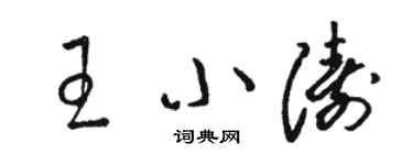 骆恒光王小涛草书个性签名怎么写