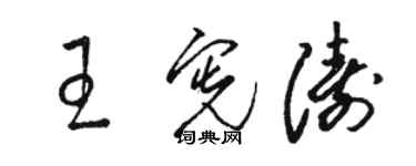骆恒光王宪涛草书个性签名怎么写