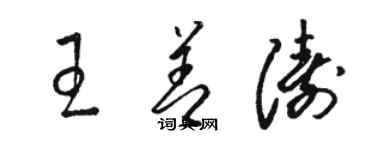 骆恒光王善涛草书个性签名怎么写