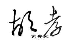 骆恒光胡孝草书个性签名怎么写