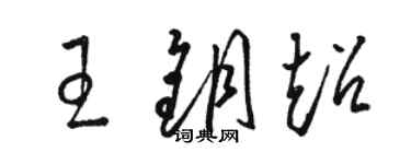 骆恒光王钥超草书个性签名怎么写