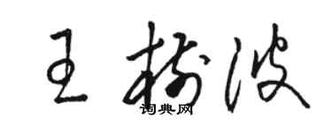 骆恒光王树波草书个性签名怎么写