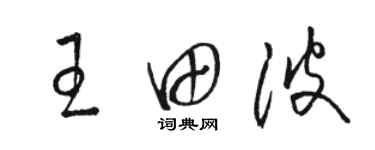 骆恒光王田波草书个性签名怎么写