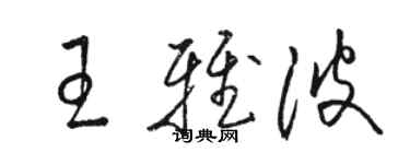 骆恒光王雅波草书个性签名怎么写