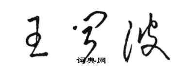 骆恒光王闻波草书个性签名怎么写