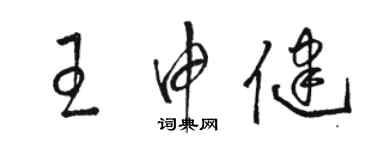 骆恒光王申健草书个性签名怎么写