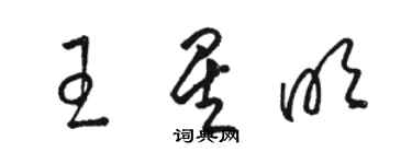 骆恒光王星明草书个性签名怎么写