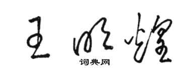 骆恒光王明煌草书个性签名怎么写