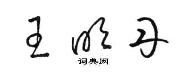 骆恒光王明丹草书个性签名怎么写