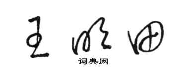 骆恒光王明田草书个性签名怎么写