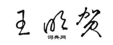 骆恒光王明贺草书个性签名怎么写