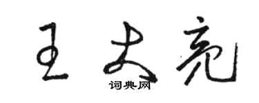 骆恒光王大亮草书个性签名怎么写