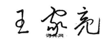 骆恒光王家亮草书个性签名怎么写