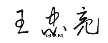 骆恒光王忠亮草书个性签名怎么写
