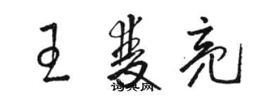 骆恒光王双亮草书个性签名怎么写