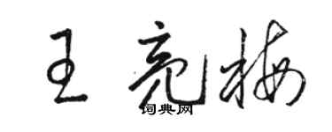 骆恒光王亮梅草书个性签名怎么写