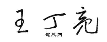 骆恒光王丁亮草书个性签名怎么写