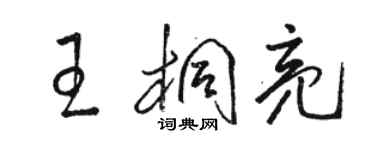 骆恒光王桐亮草书个性签名怎么写