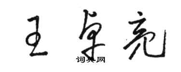 骆恒光王卓亮草书个性签名怎么写