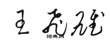骆恒光王飞雄草书个性签名怎么写