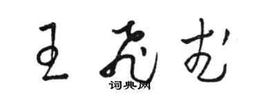 骆恒光王飞武草书个性签名怎么写